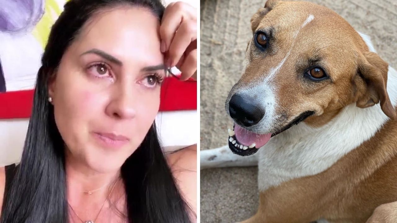 Graciele Lacerda se desespera ao perceber que sua cachorra sumiu: “Meu coração chega a doer”