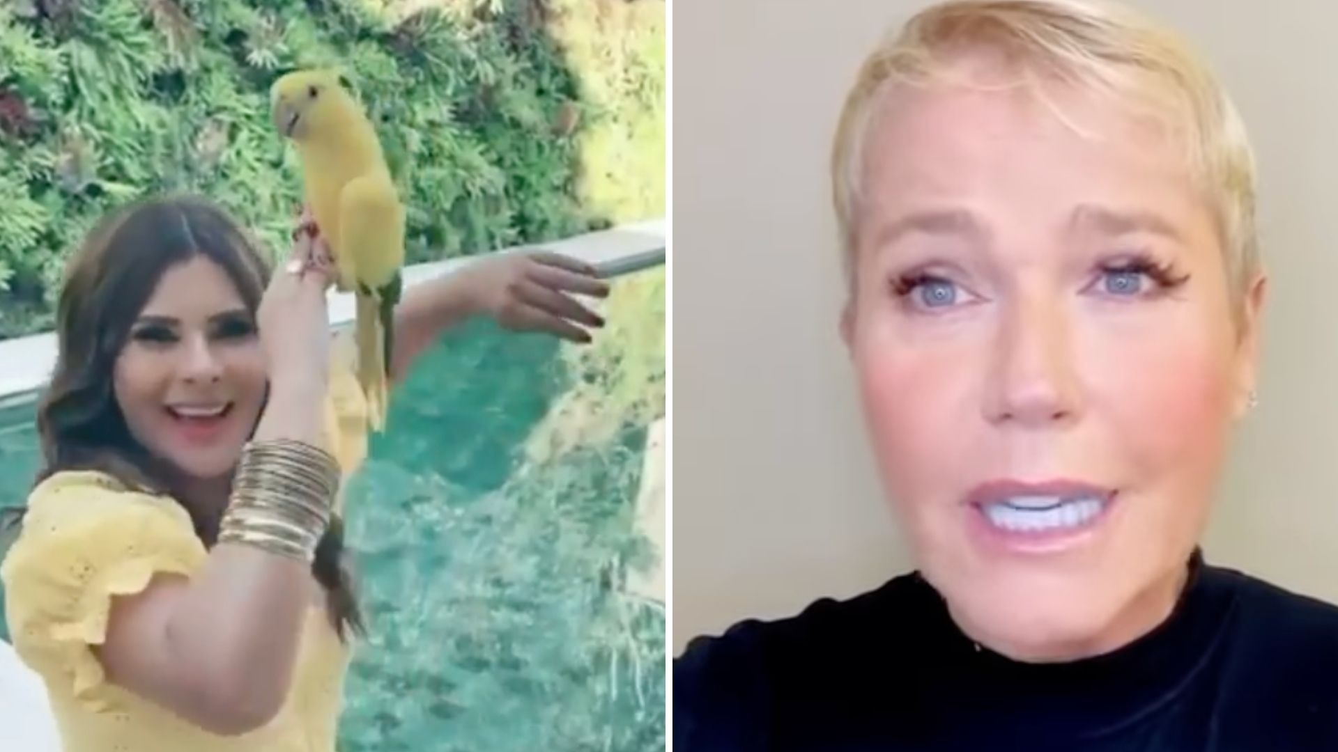 Mara Maravilha debocha após gafe de Xuxa Meneghel: “Máscaras caem”