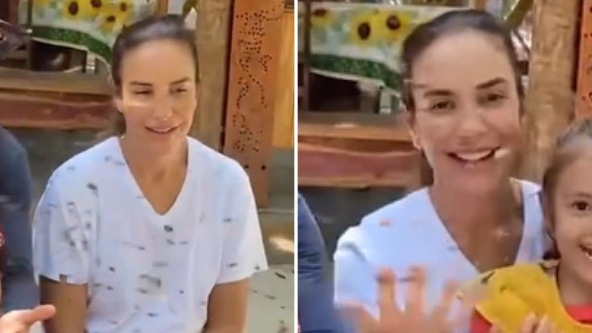 Ivete Sangalo tem experiência única com abelhas ao lado das filhas e do marido: “Mini aflição”