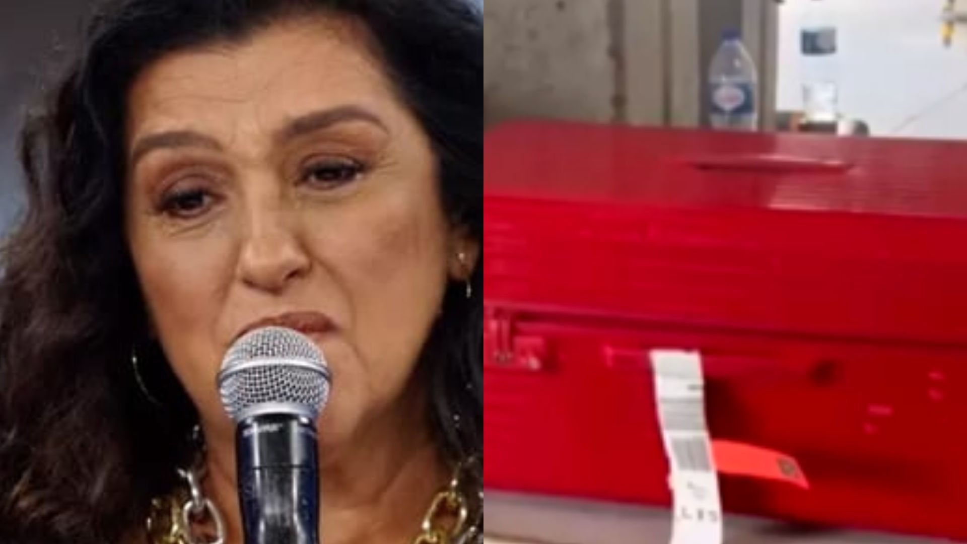 Regina Casé é colocada para fora de avião após ir contra a lei e levar objeto proibido na mala: “Larguei”