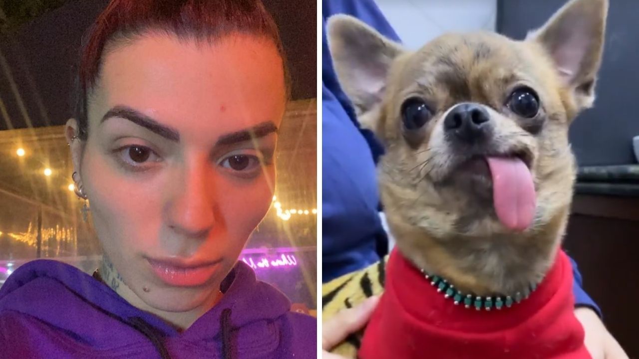 Filha de Mauricio Mattar relata susto em acidente com cachorrinho: “Tentei fazer respiração boca a boca”