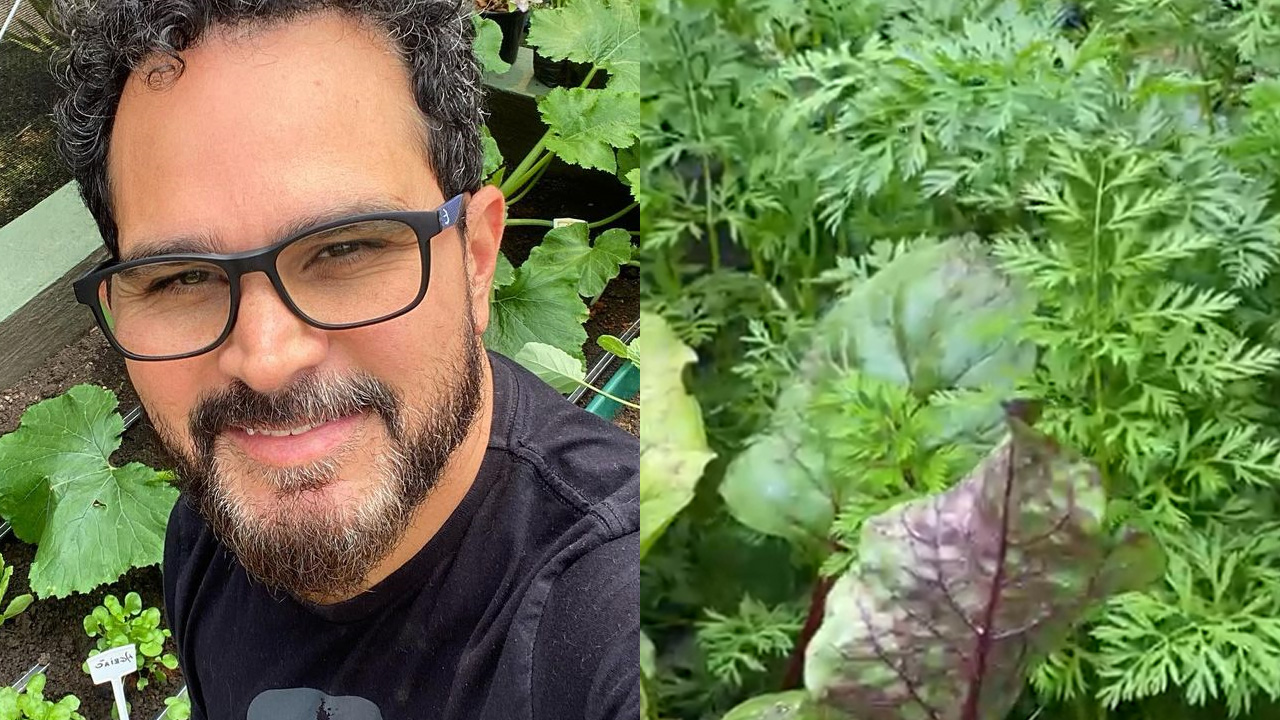 Orgulhoso, Luciano Camargo se dedica a cultivo de horta no quintal da mansão e mostra detalhes: “Eu que polinizei”
