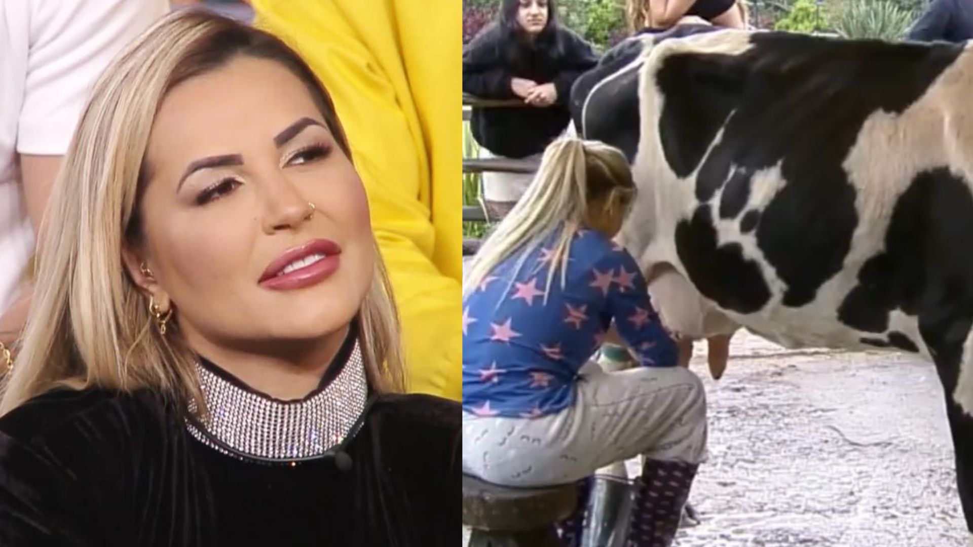 A Fazenda: Deolane batiza vaca com nome de rival e gera polêmica: “Vem”