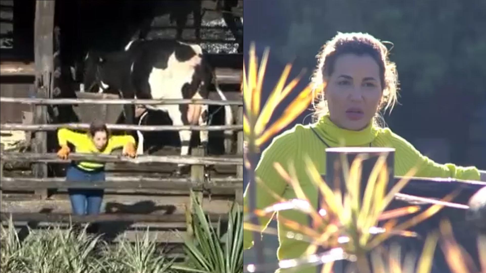 A Fazenda: Deolane Bezerra leva ‘chuva de cocô’, passa mal e vomita: “Caralh*”