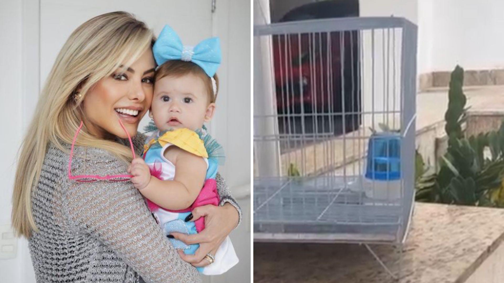Esposa de Leonardo presenteia filha de Virgínia e Zé Felipe com pet inusitado: “Muito carinho”