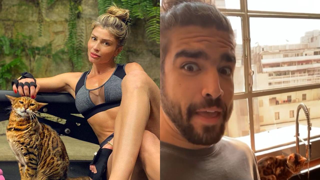 Grazi Massafera e Caio Castro posam com o ‘mesmo’ gato e acendem boatos de reconciliação: “Voltaram?”