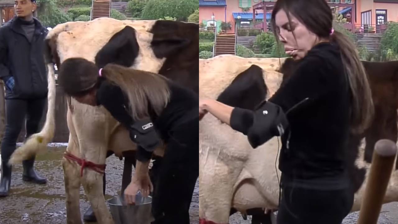 A Fazenda 13: Liziane Gutierrez leva ‘rabada’ no rosto ao ordenhar vaca e peão alerta: “Tem cocô na boca”