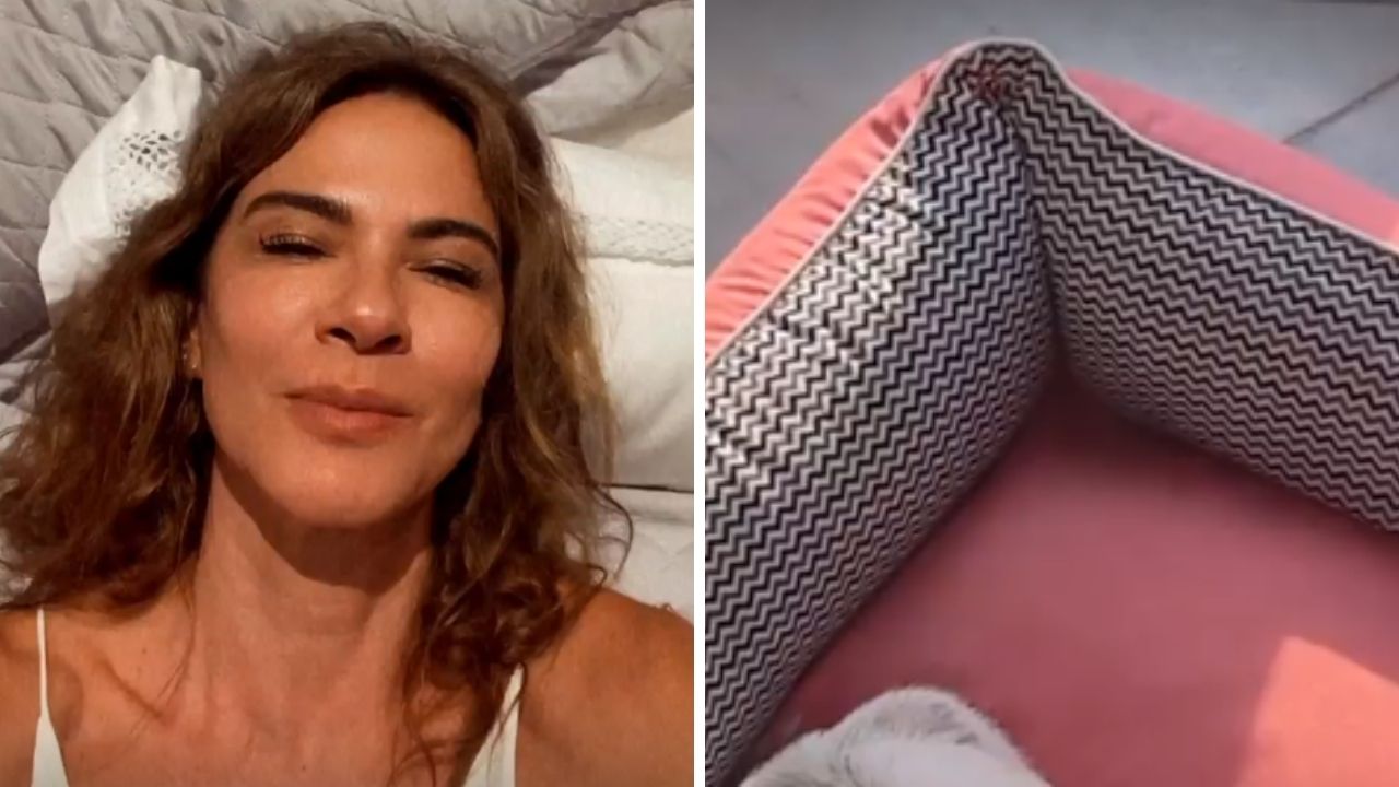 Aumentando a família, Luciana Gimenez apresenta animal de estimação inusitado: “Já fez cocô em mim”