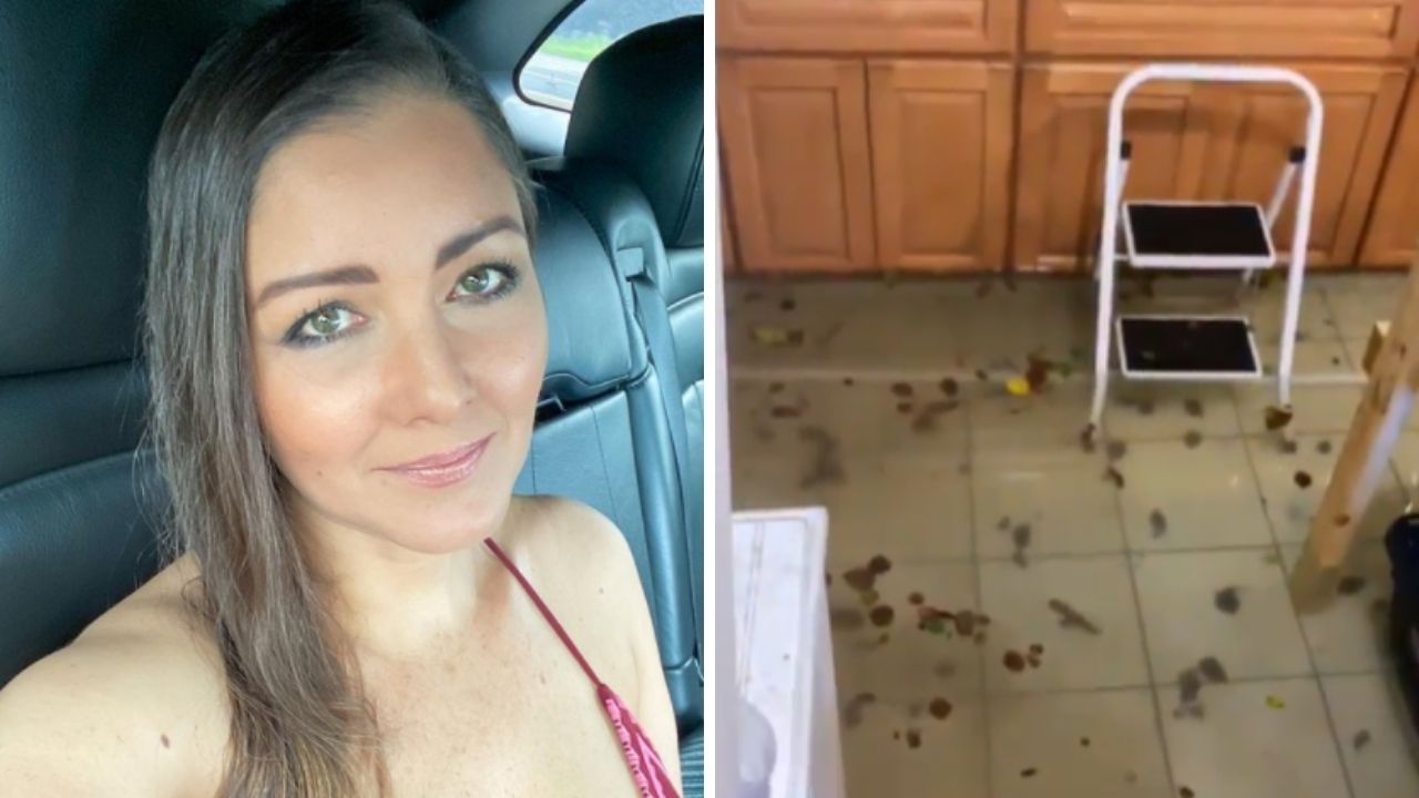 Em Nova York, Nana Gouvêa tem casa alagada após passagem de furacão violento: “Todo ano é a mesma coisa”